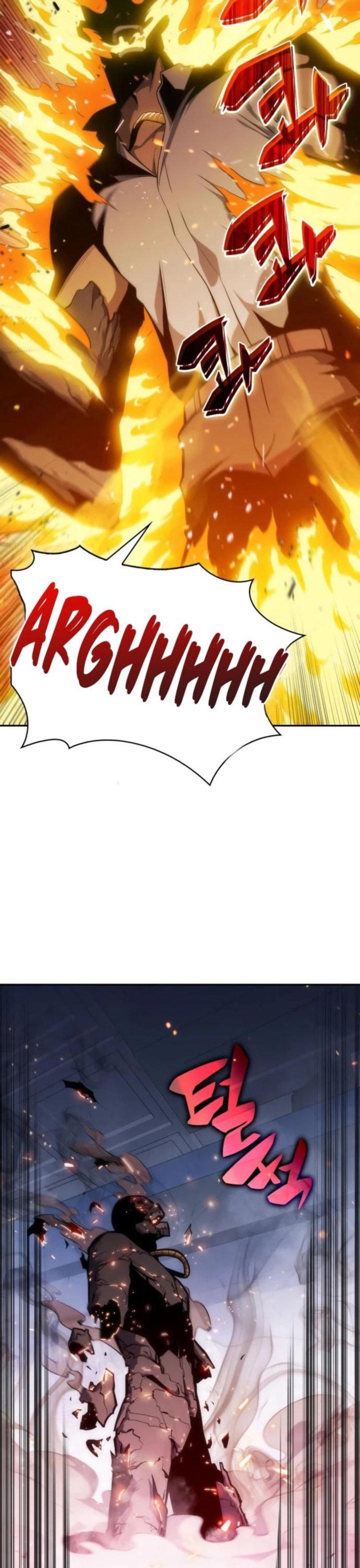 Read Solo Max-Level Newbie Manga Online