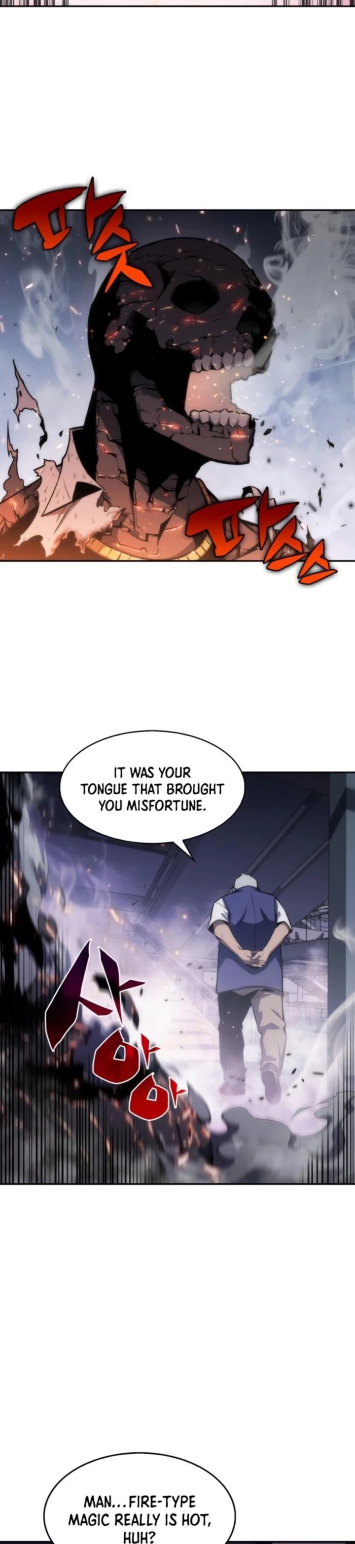 Read Solo Max-Level Newbie Manga Online