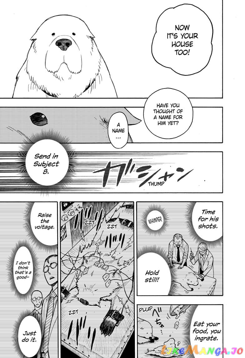 Read Spy X Family Manga Online