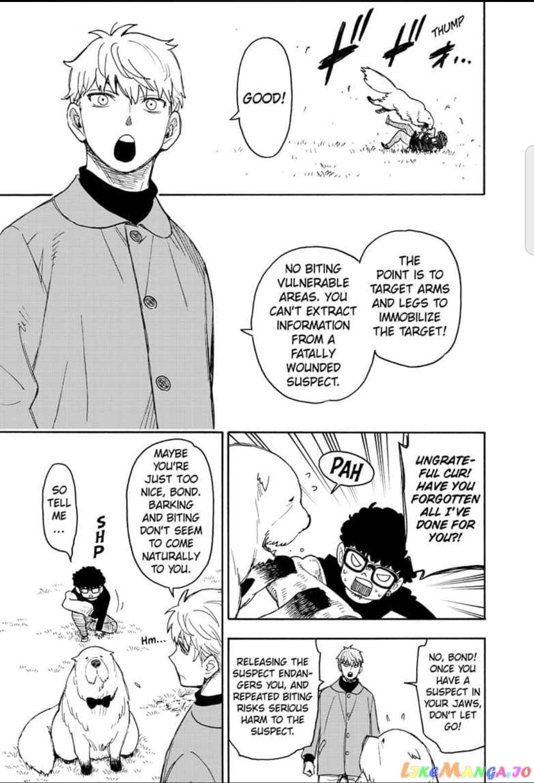 Read Spy X Family Manga Online