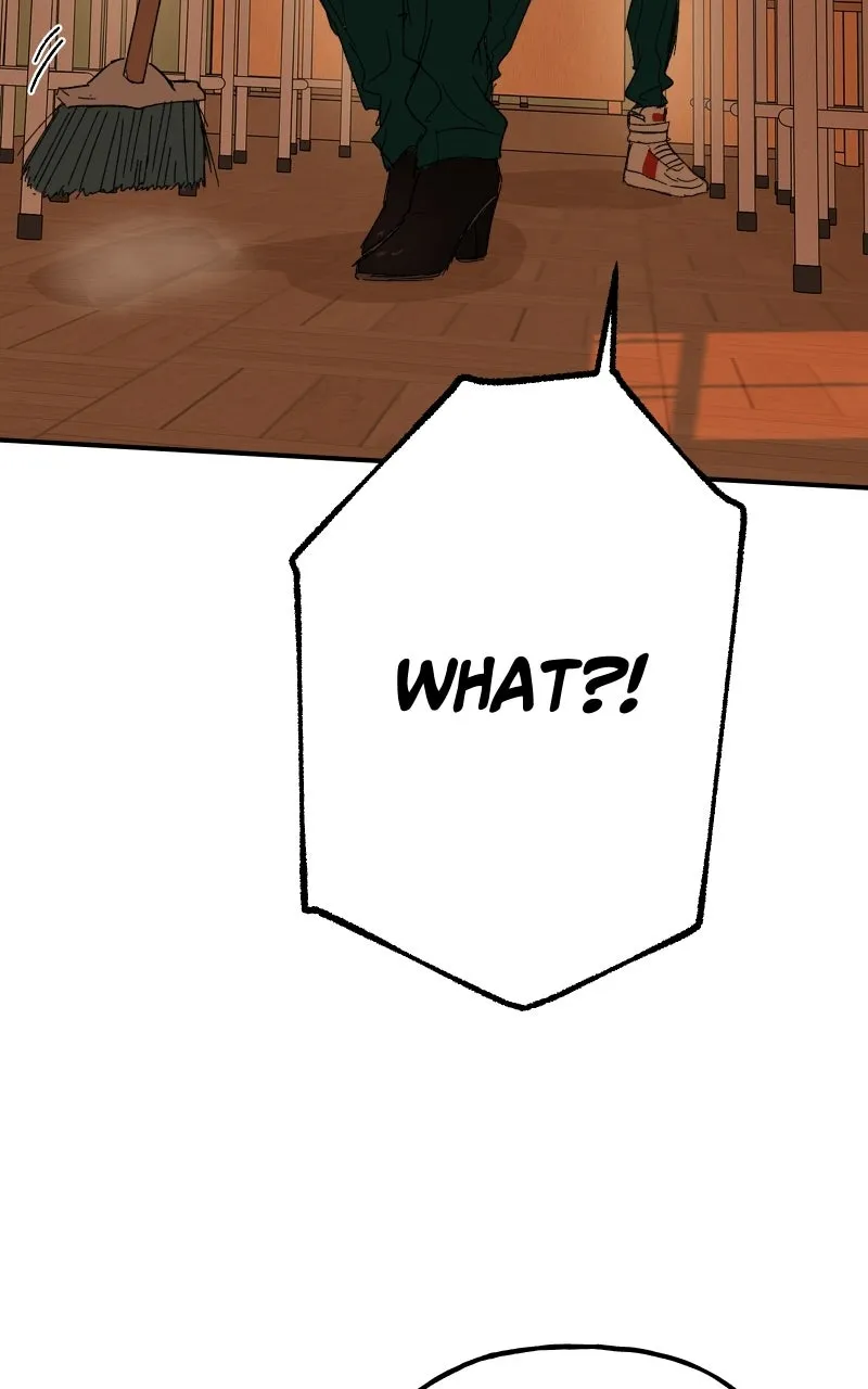 Read Superfish Manga Online