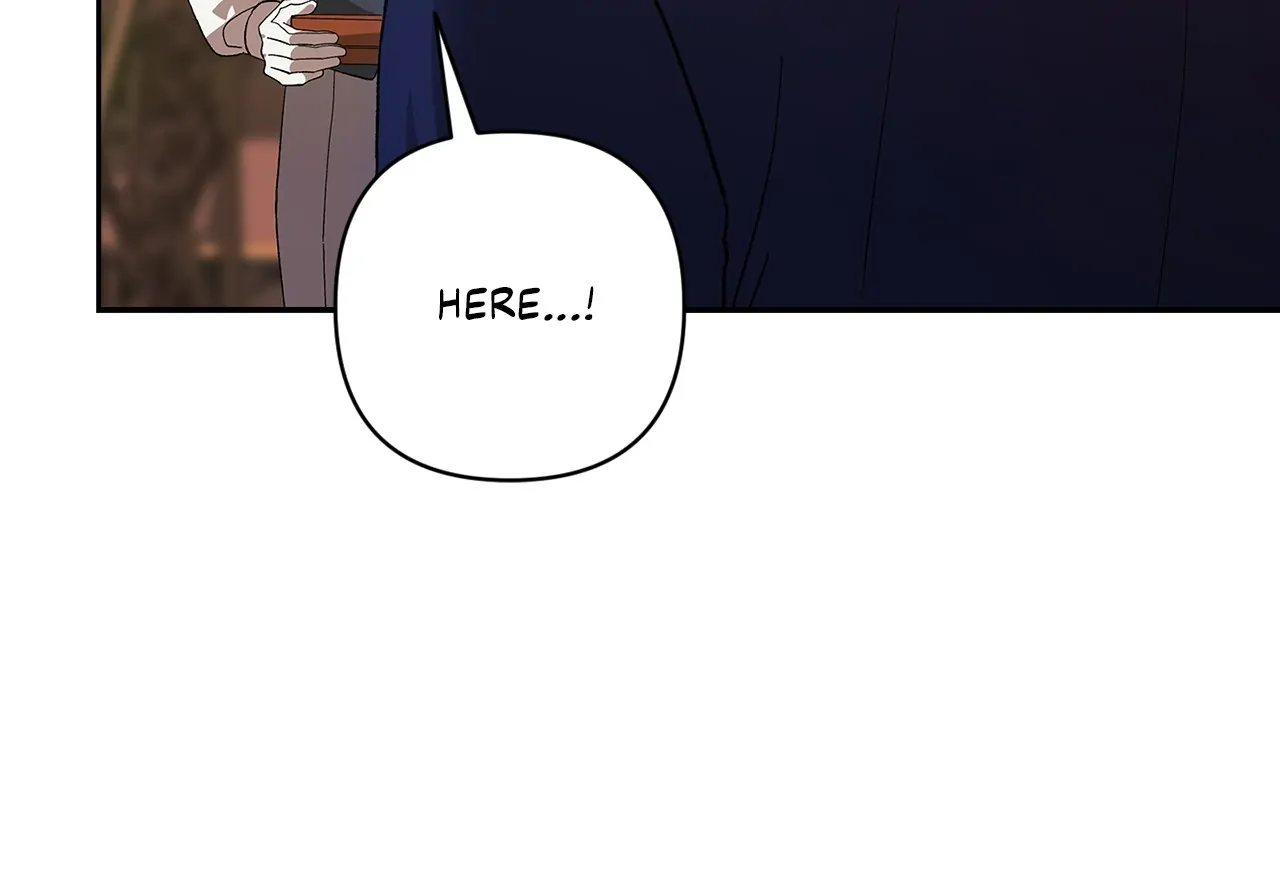 Read The Broken Ring This Marriage Will Fail Anyway Manga Online