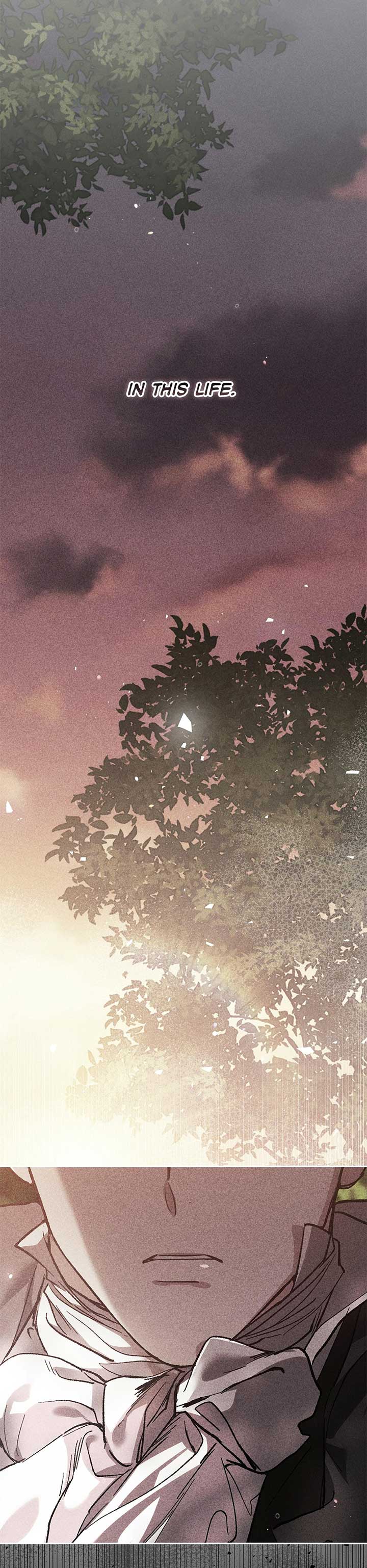 Read The Broken Ring This Marriage Will Fail Anyway Manga Online