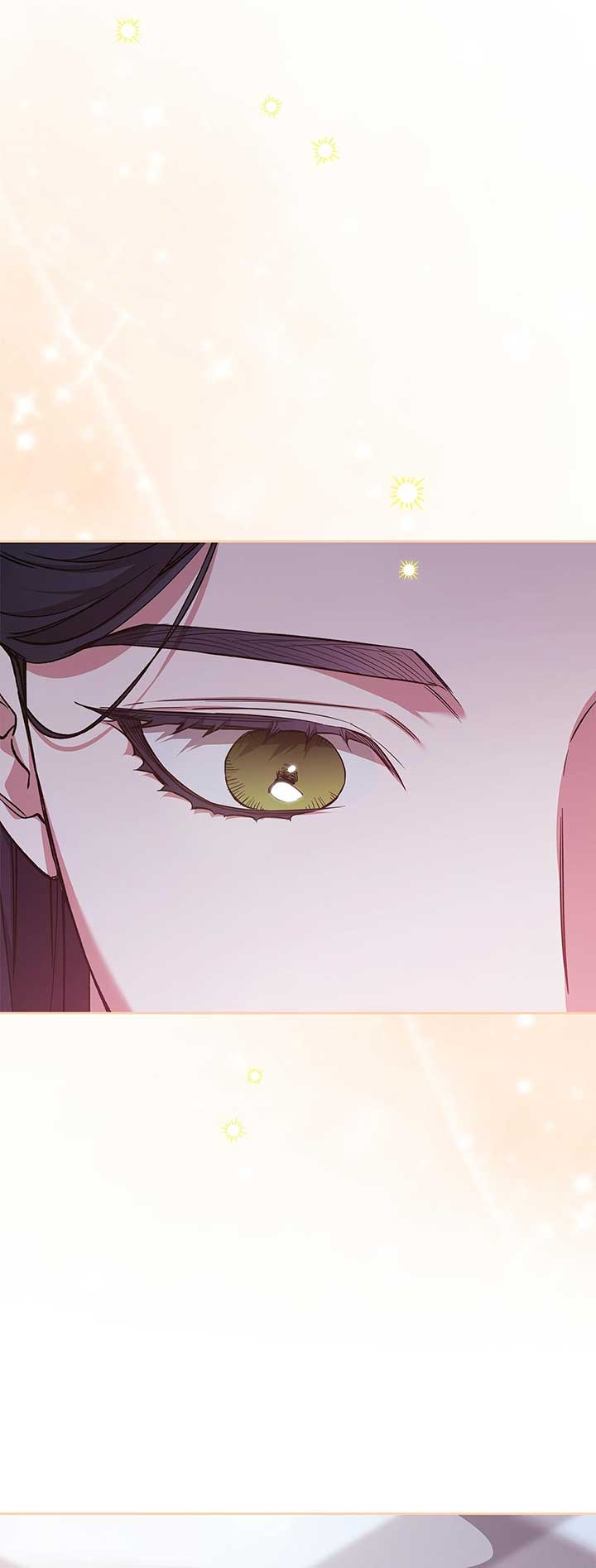 Read The Broken Ring This Marriage Will Fail Anyway Manga Online
