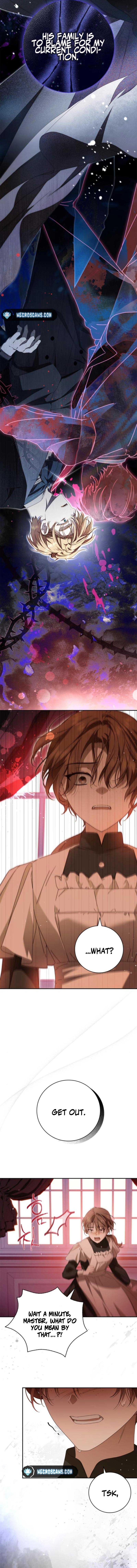 Read The Count’s Secret Maid  Manga Online