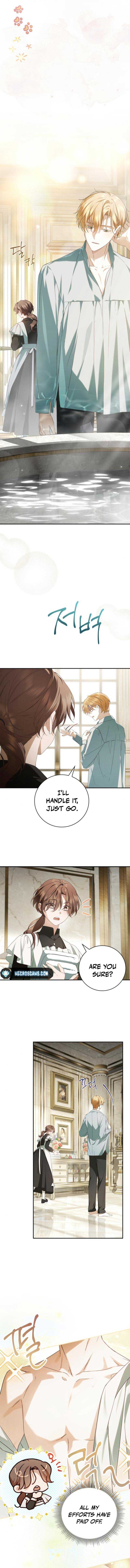 Read The Count’s Secret Maid  Manga Online