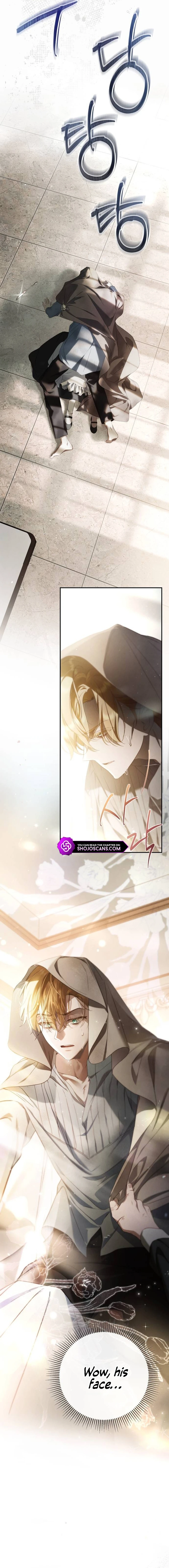 Read The Count’s Secret Maid  Manga Online