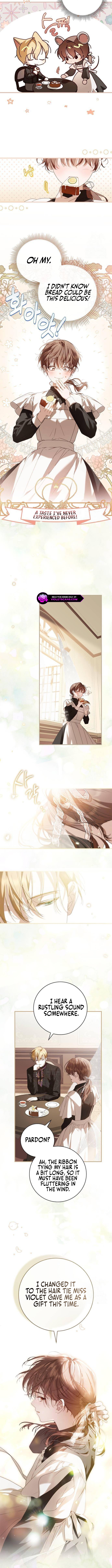 Read The Count’s Secret Maid  Manga Online