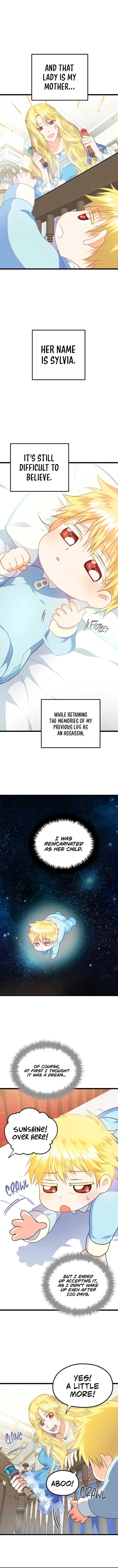 Read The Reincarnated Assassin is a Genius Swordsman Manga Online