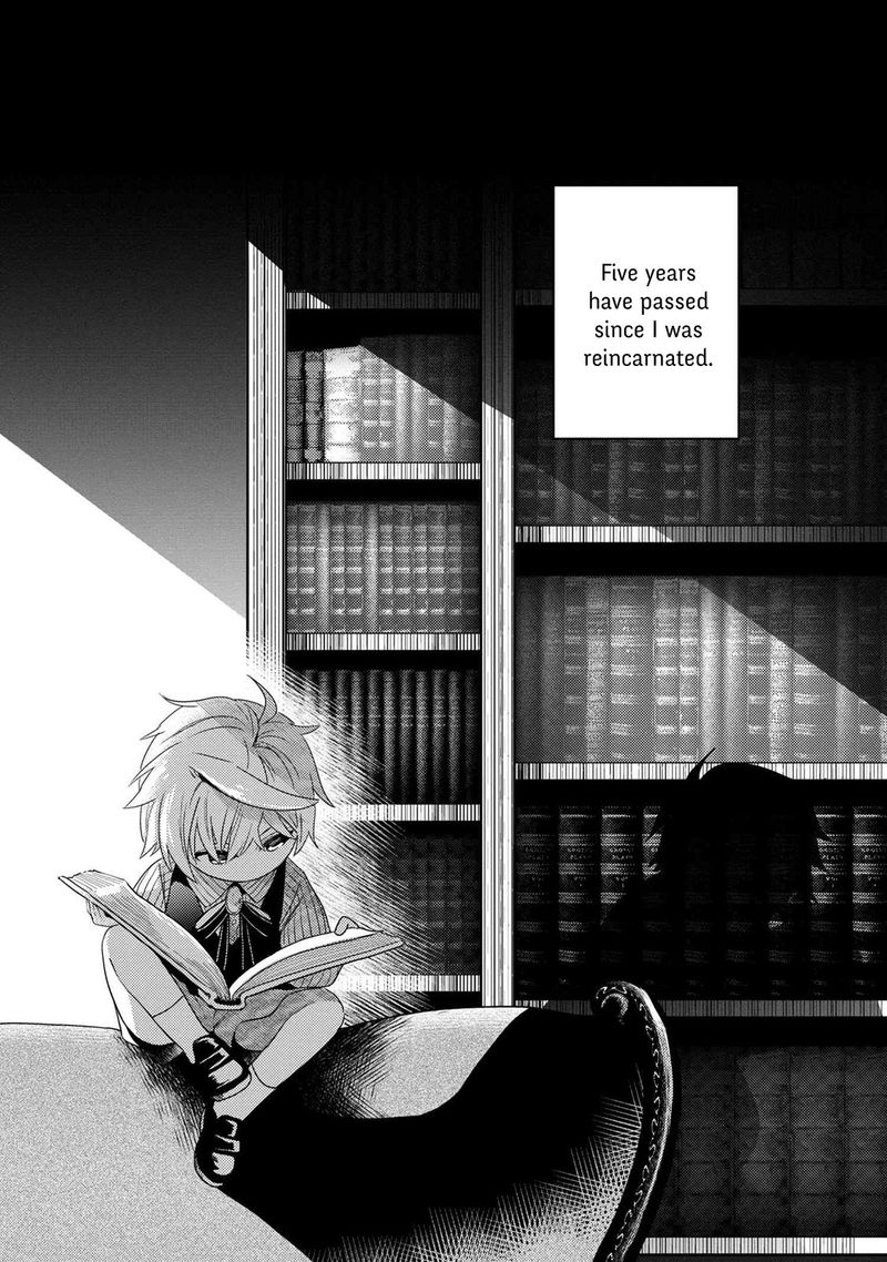 Read The World's Best Assassin, Reincarnated in a Different World as an Aristocrat Manga Online