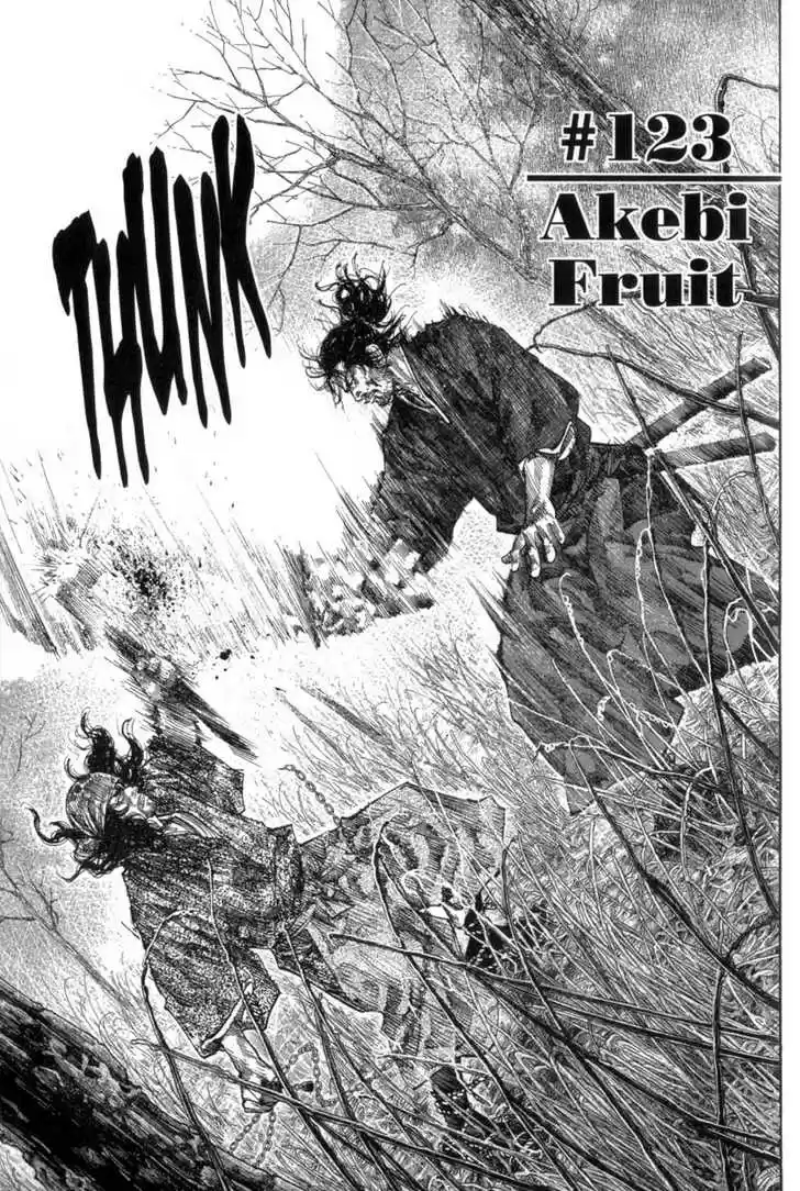 Read VAGABOND Manga Online