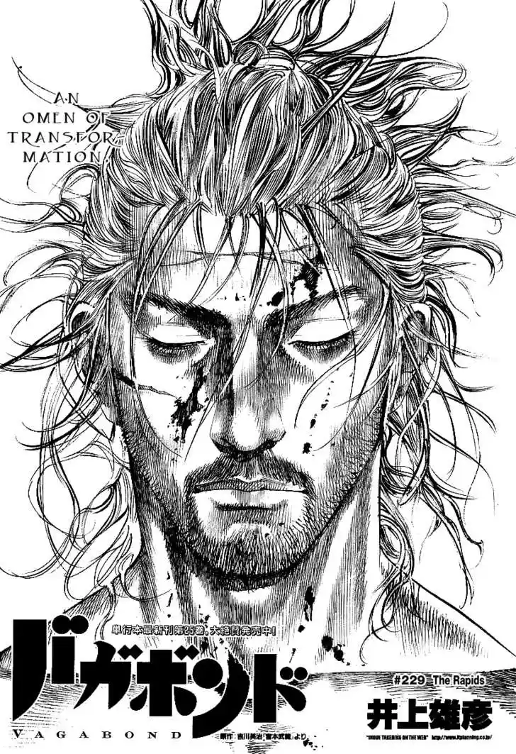 Read VAGABOND Manga Online