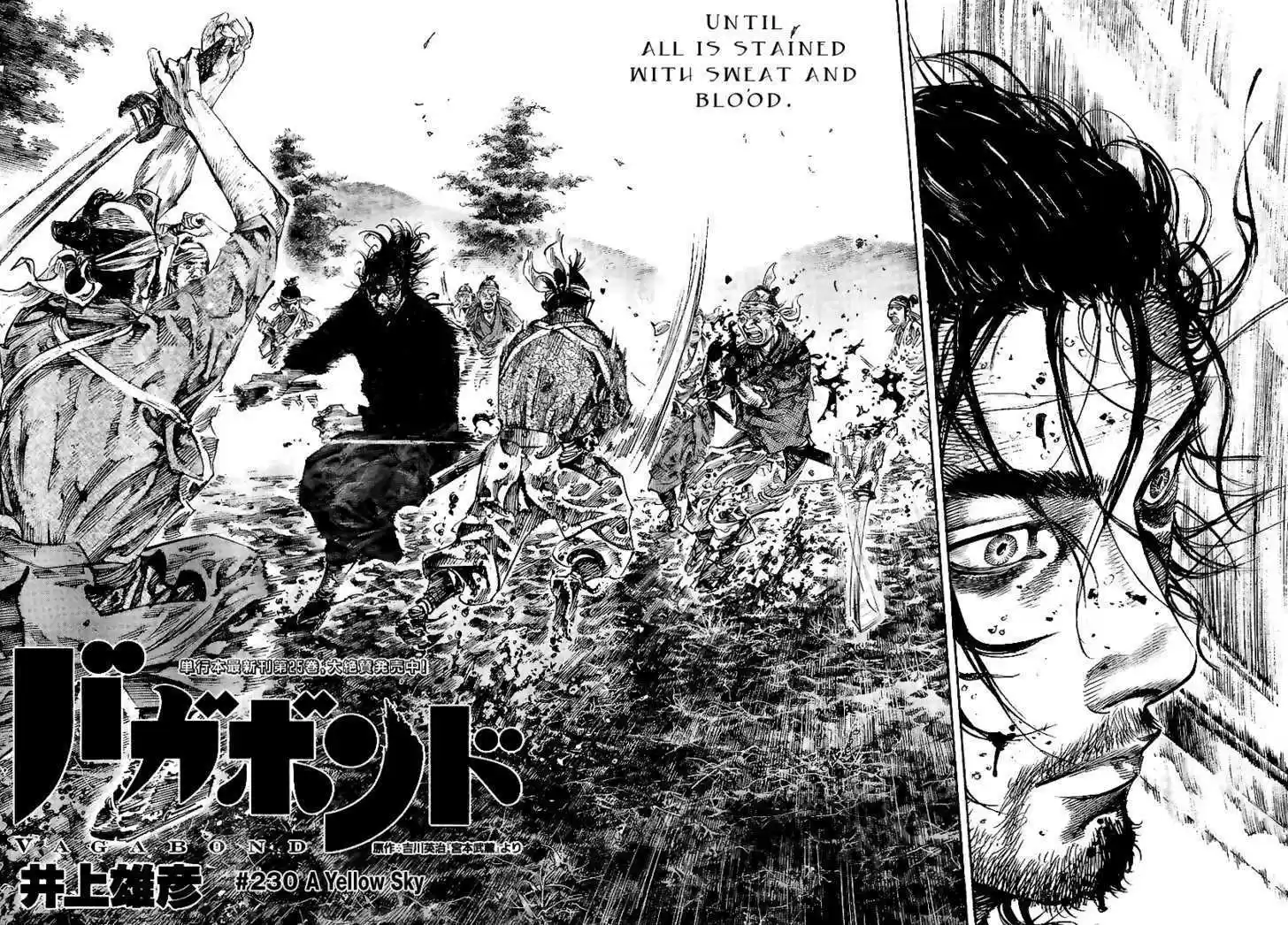 Read VAGABOND Manga Online