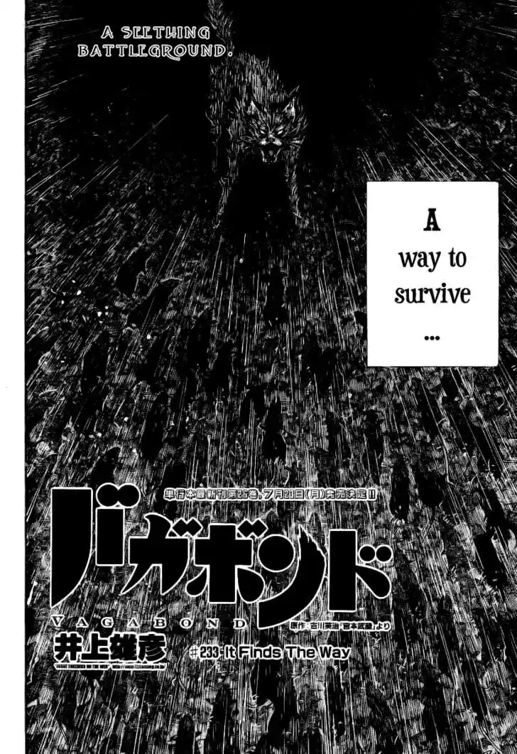 Read VAGABOND Manga Online