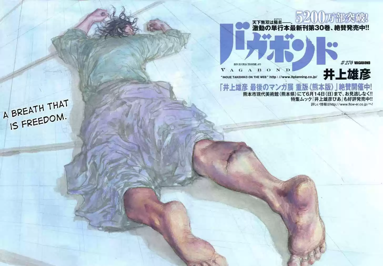 Read VAGABOND Manga Online