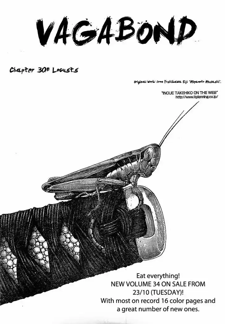 Read VAGABOND Manga Online