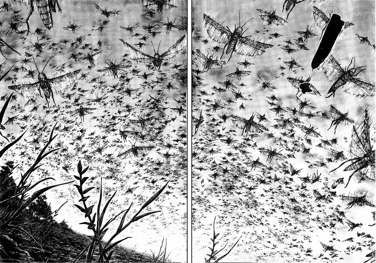 Read VAGABOND Manga Online