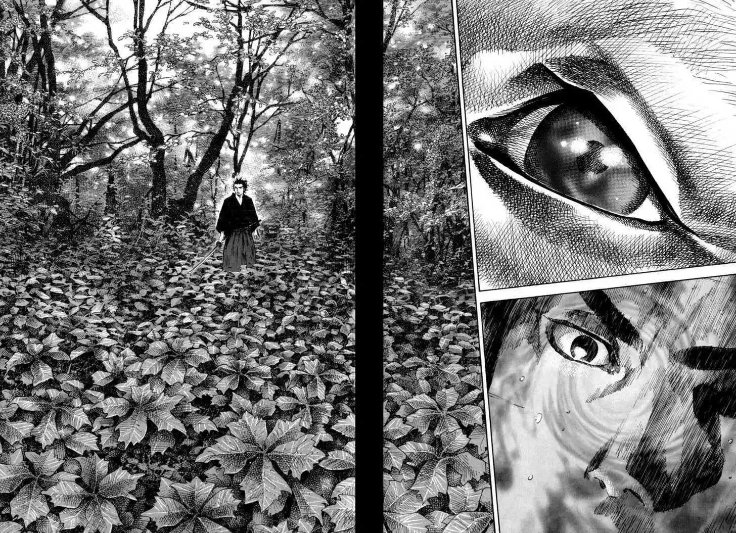 Read VAGABOND Manga Online
