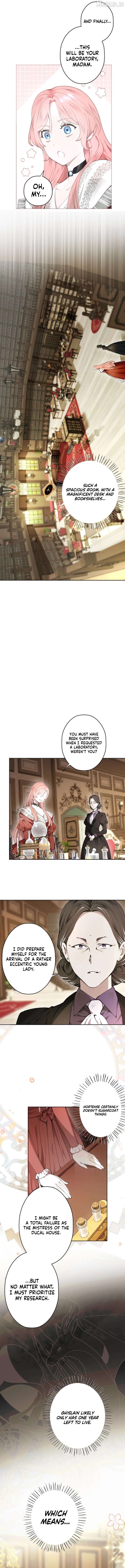 Read What Was Meant to Be a Contract Marriage Turned Into the Duke's Obsession Manga Online