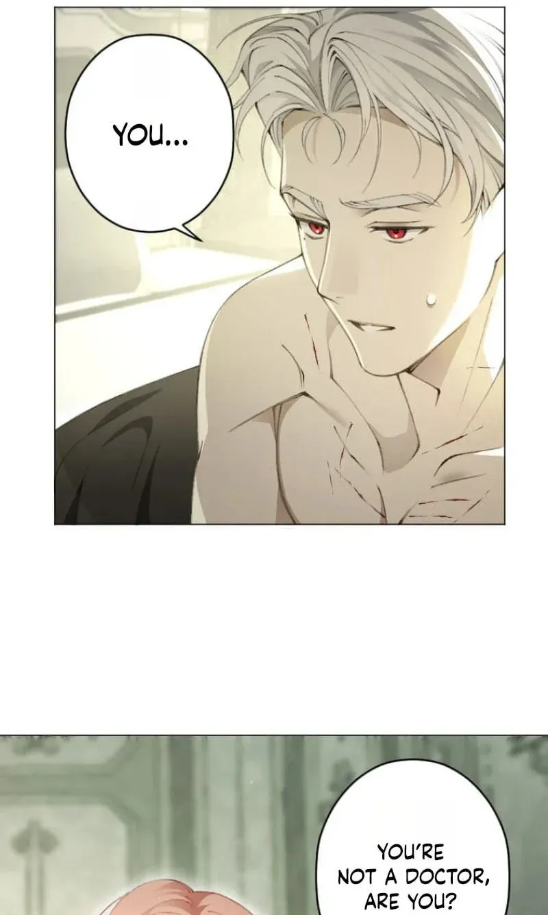 Read What Was Meant to Be a Contract Marriage Turned Into the Duke's Obsession Manga Online