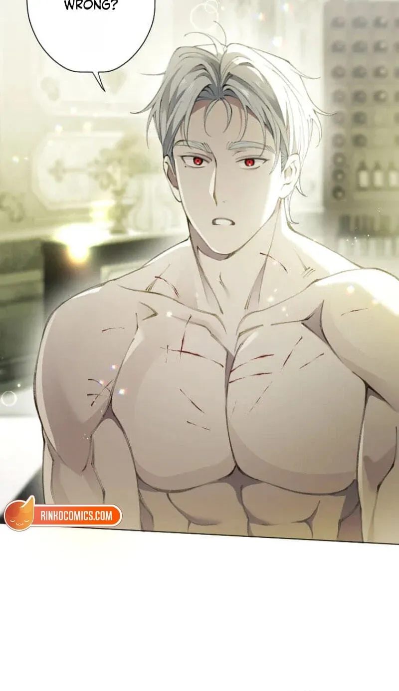Read What Was Meant to Be a Contract Marriage Turned Into the Duke's Obsession Manga Online