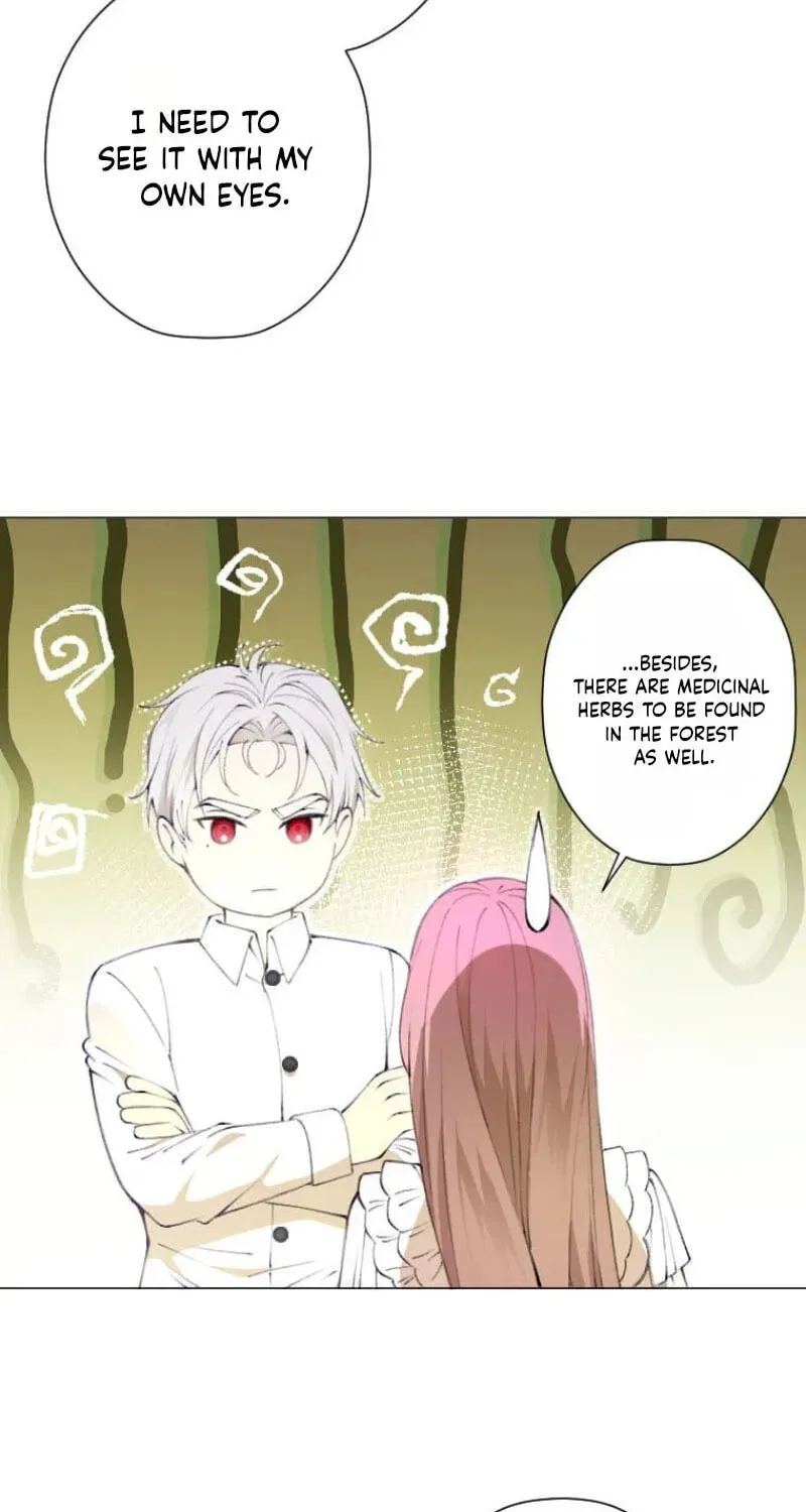 Read What Was Meant to Be a Contract Marriage Turned Into the Duke's Obsession Manga Online