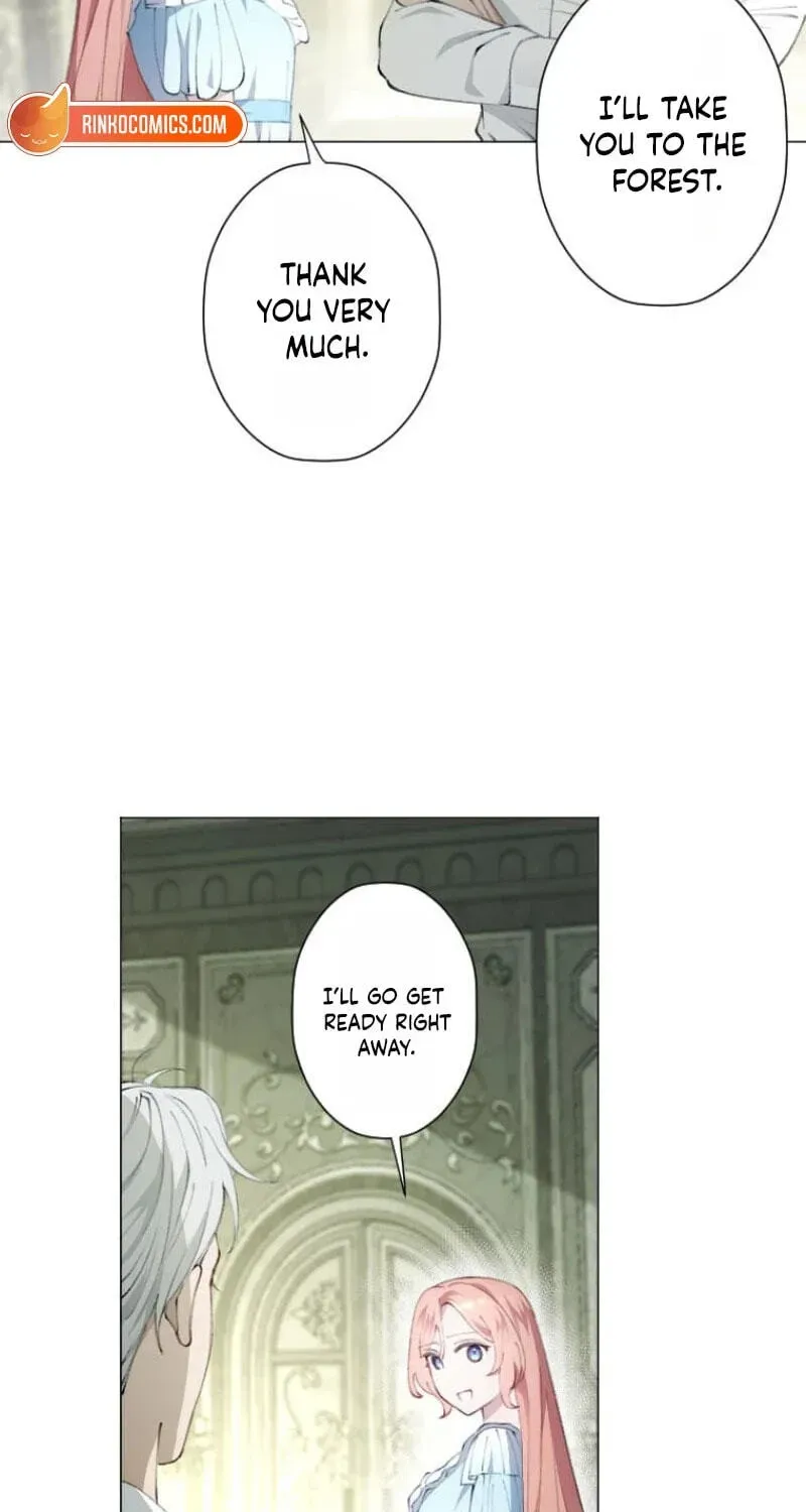 Read What Was Meant to Be a Contract Marriage Turned Into the Duke's Obsession Manga Online