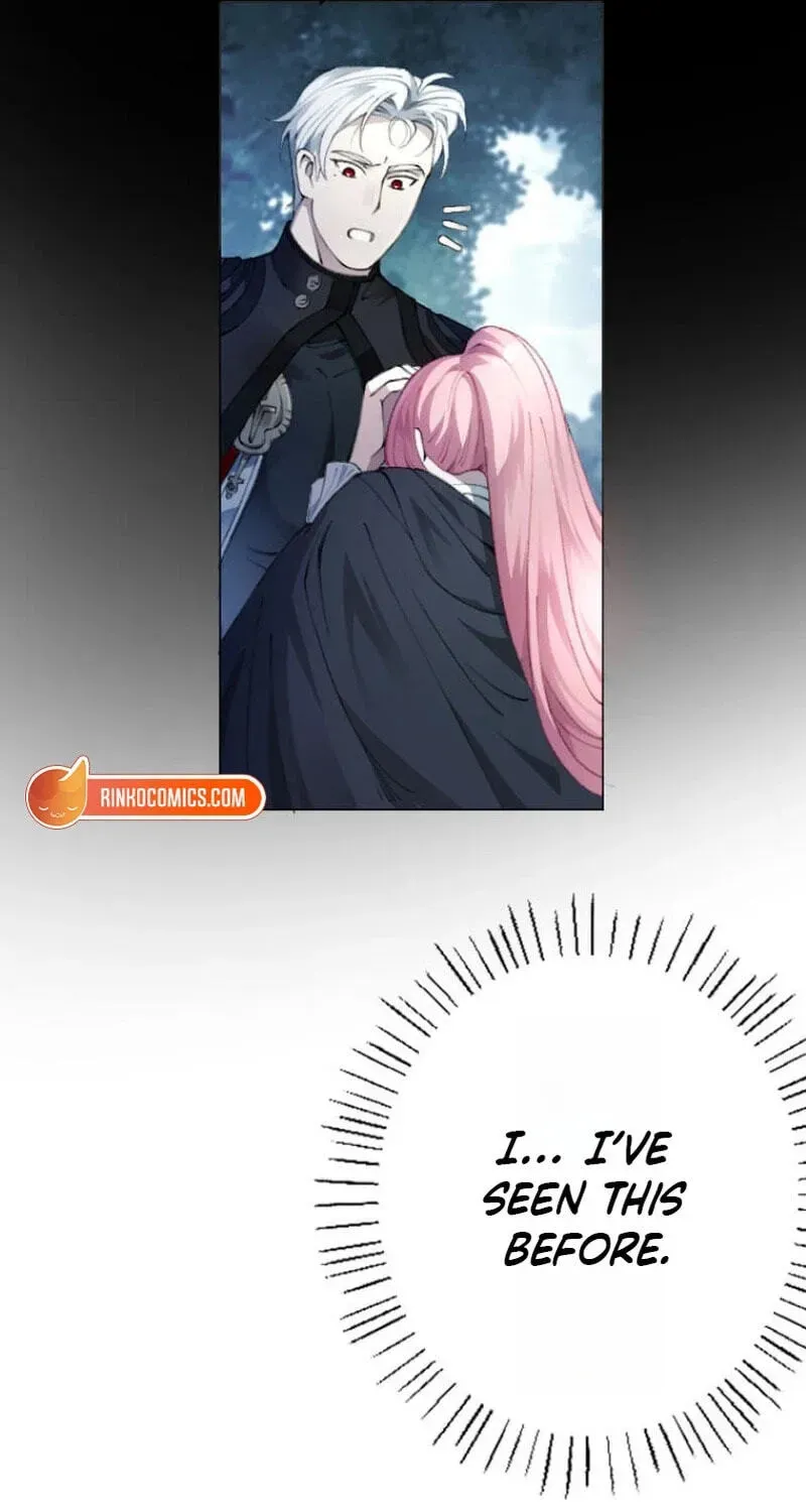 Read What Was Meant to Be a Contract Marriage Turned Into the Duke's Obsession Manga Online