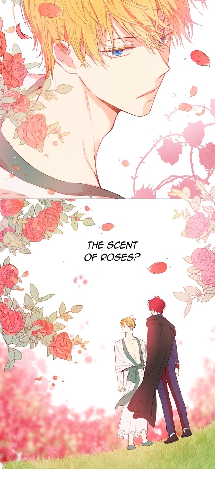 Read Who Made Me A Princess Manga Online