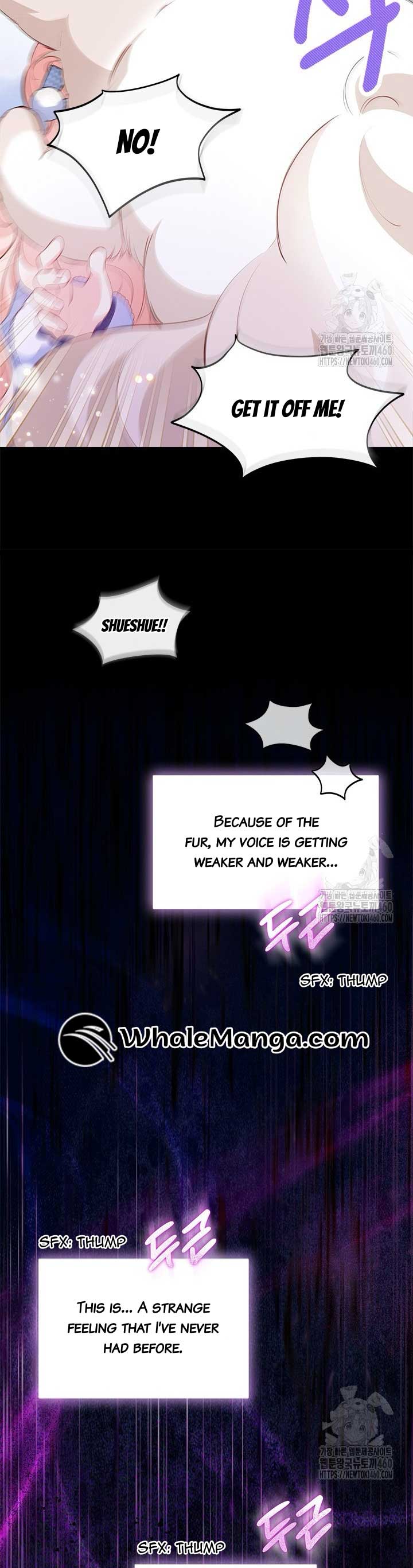 Read Why Are You Obsessed When Reject Your Favor Manga Online