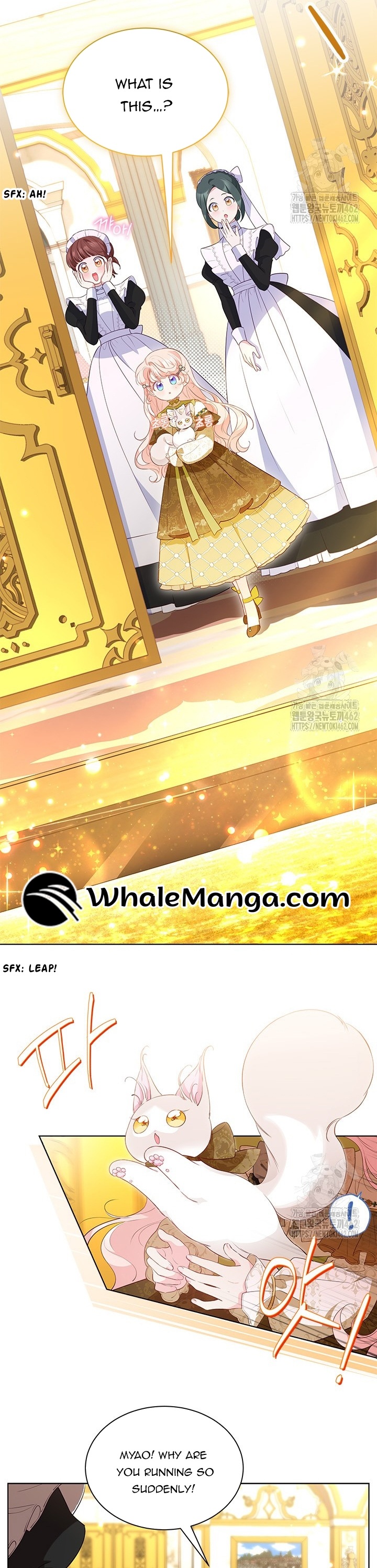 Read Why Are You Obsessed When Reject Your Favor Manga Online
