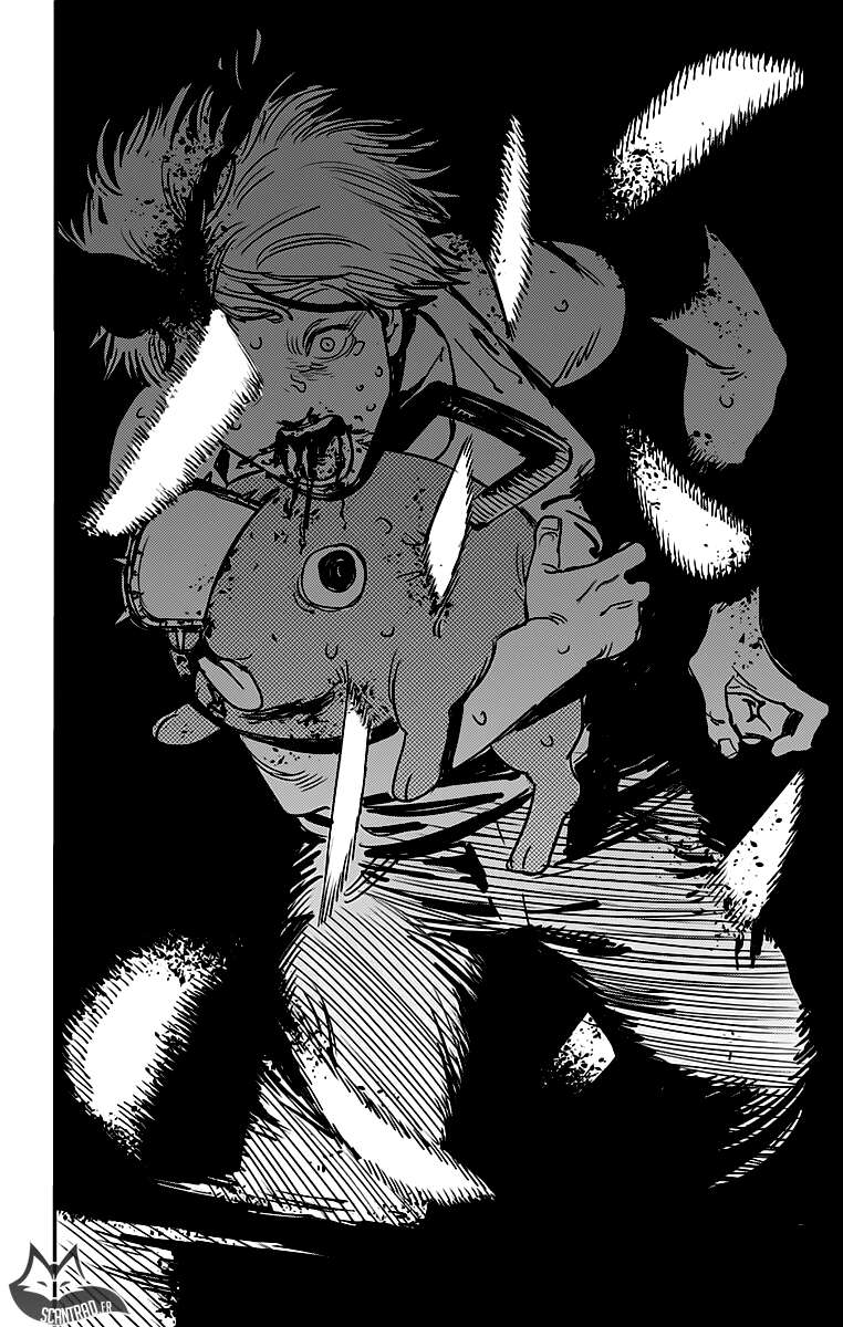 Read Chainsaw Man scan Manga Online