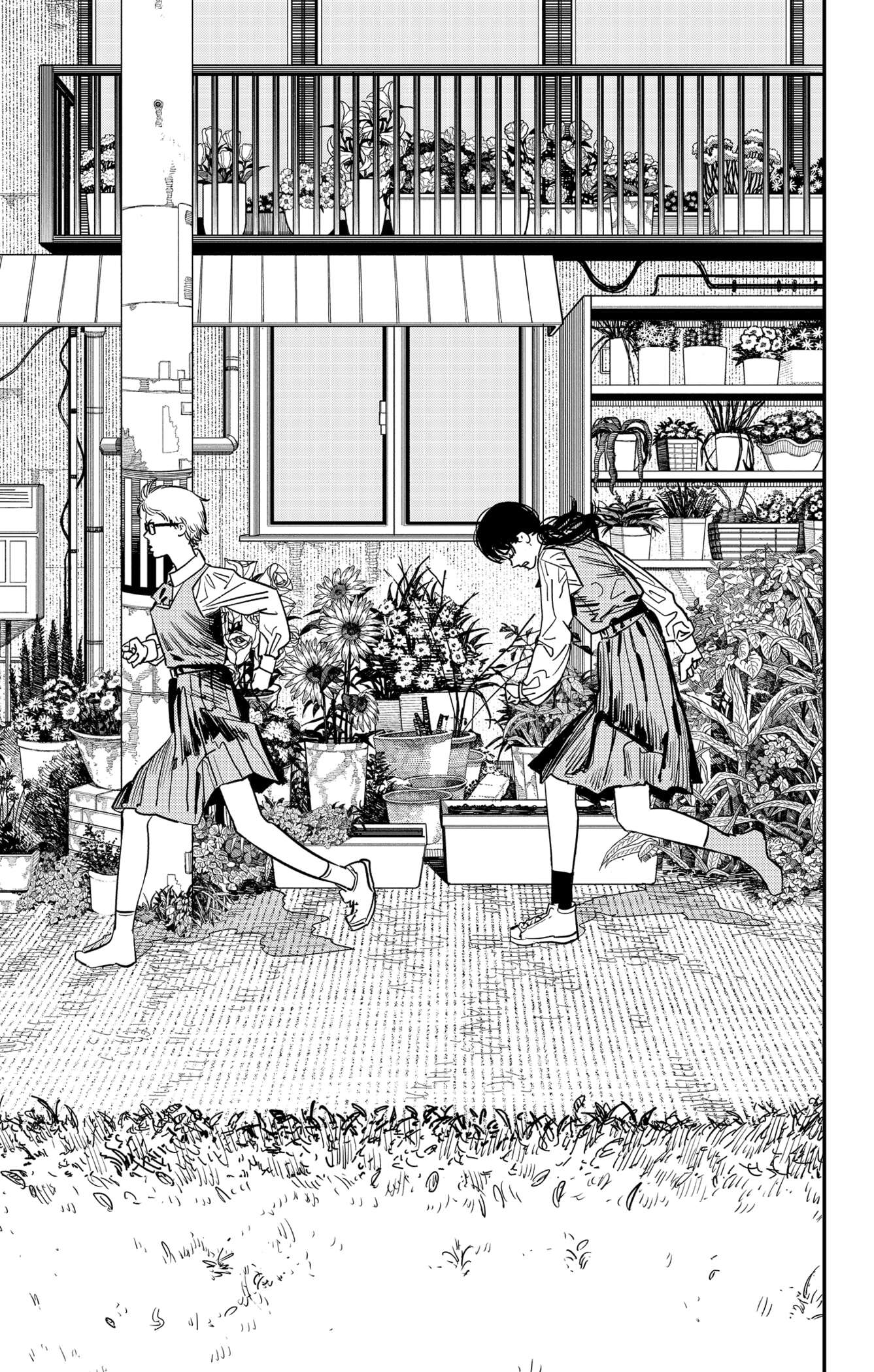 Read Chainsaw Man scan Manga Online
