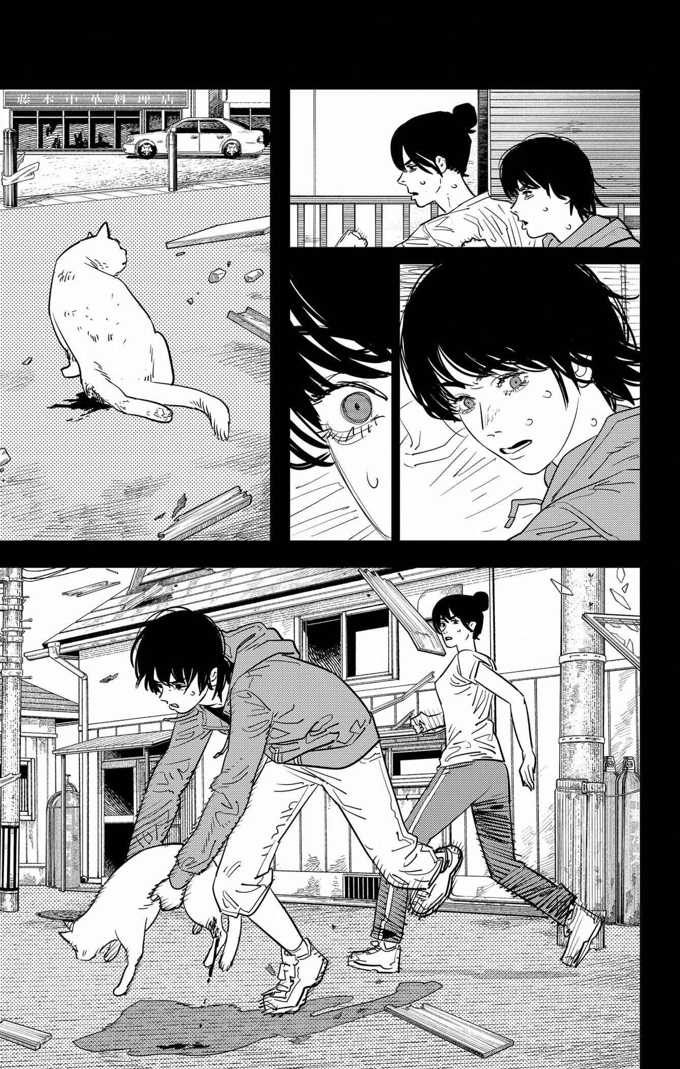 Read Chainsaw Man scan Manga Online