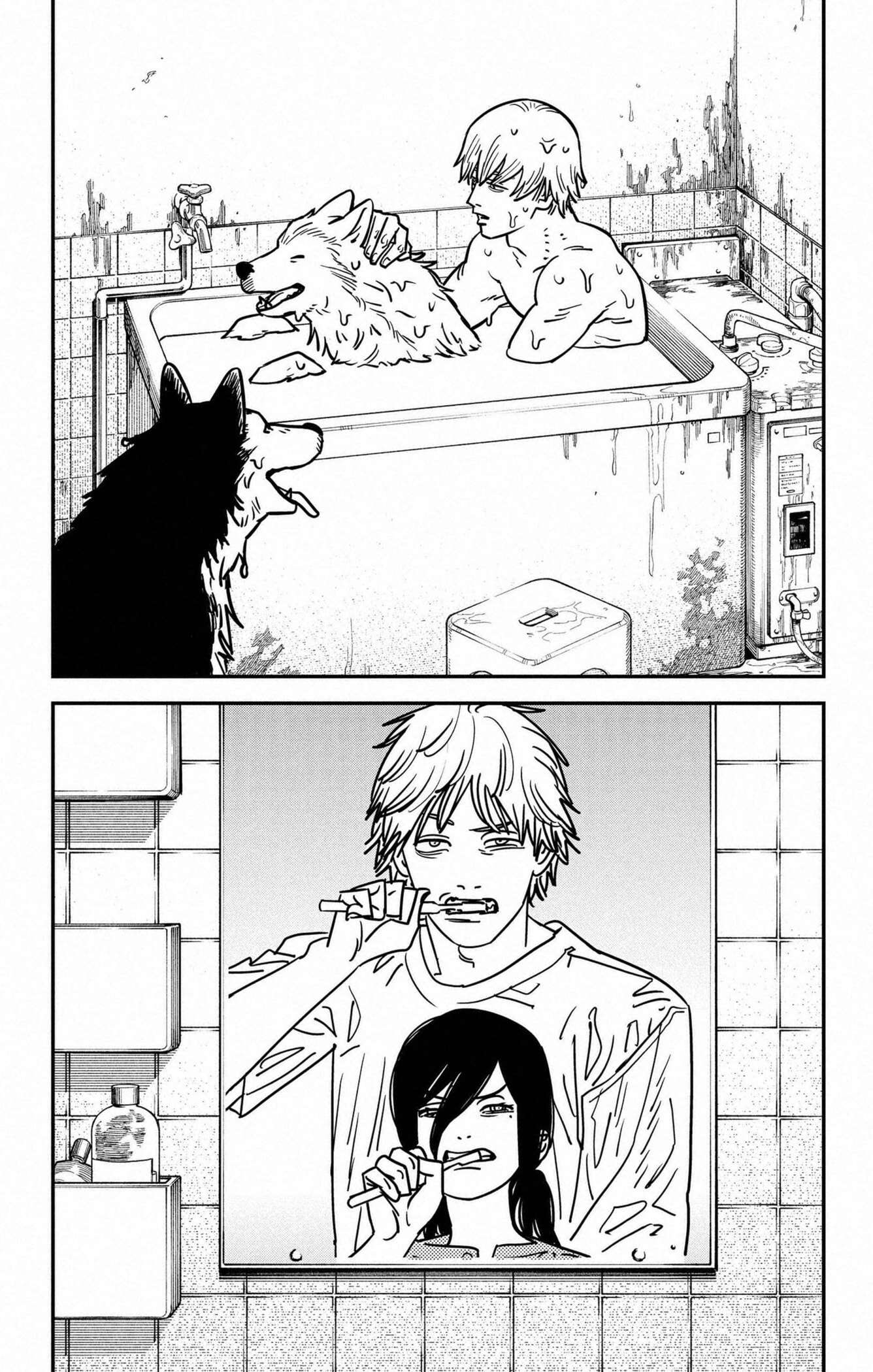 Read Chainsaw Man scan Manga Online