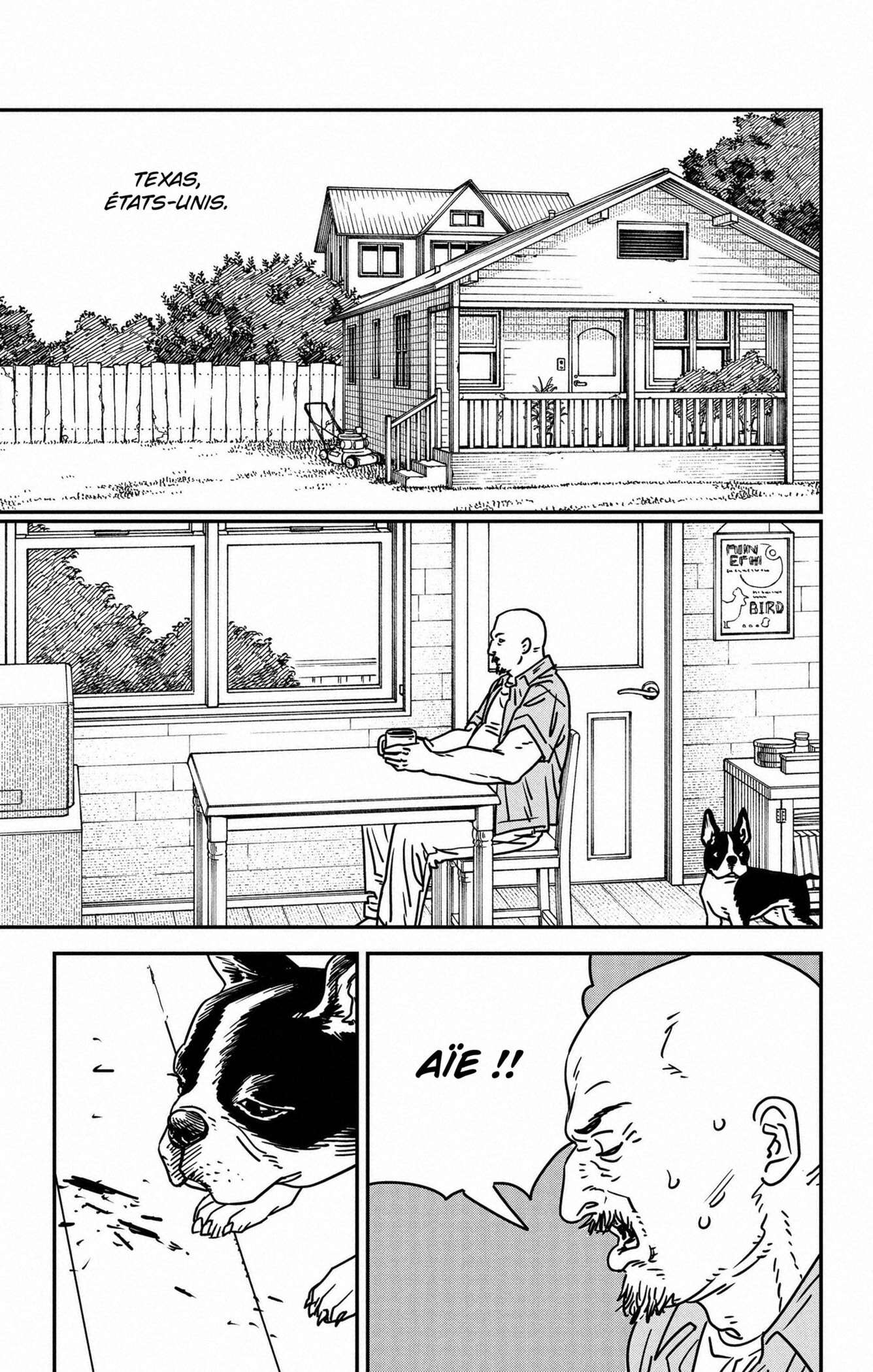 Read Chainsaw Man scan Manga Online