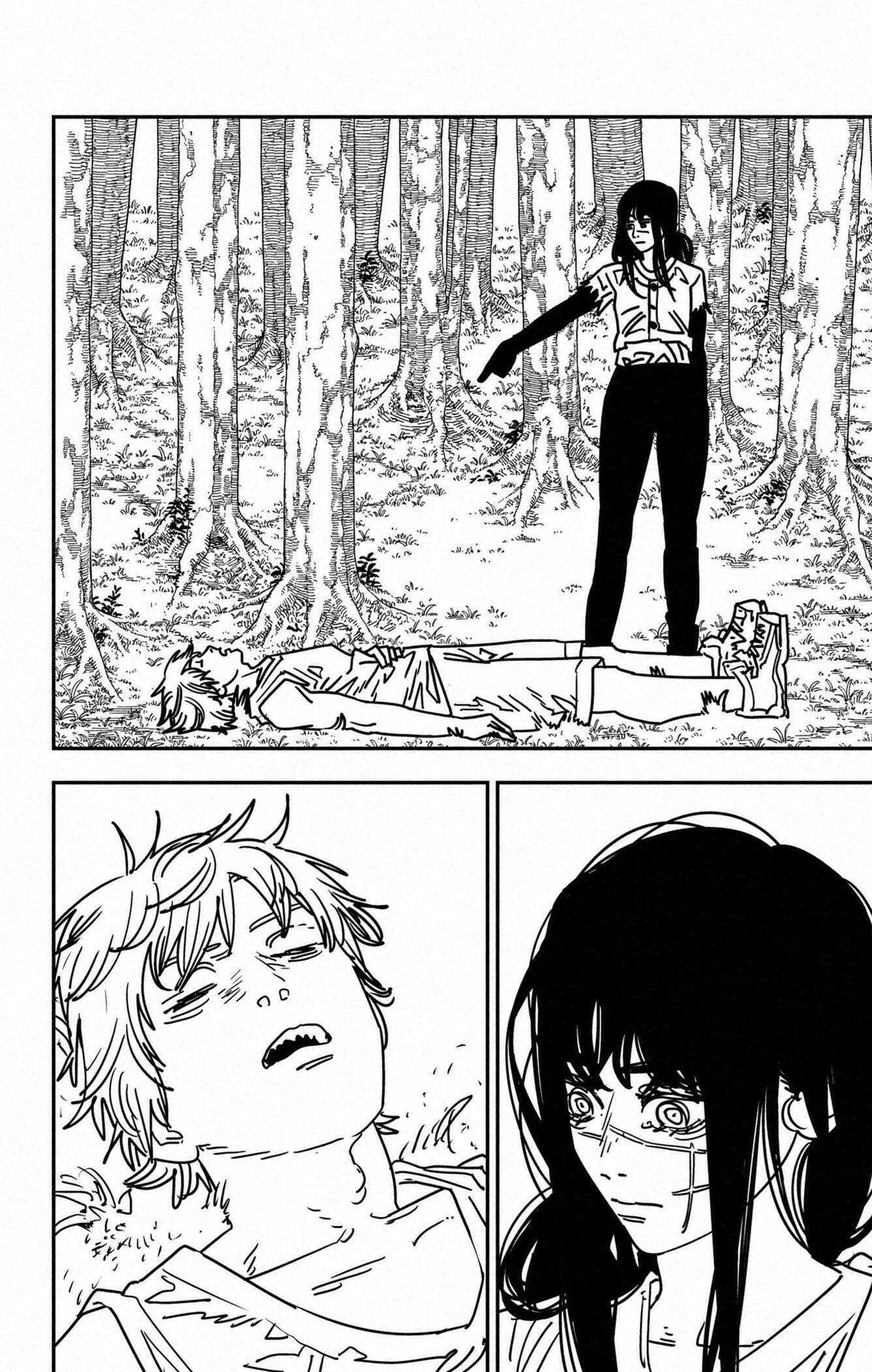 Read Chainsaw Man scan Manga Online