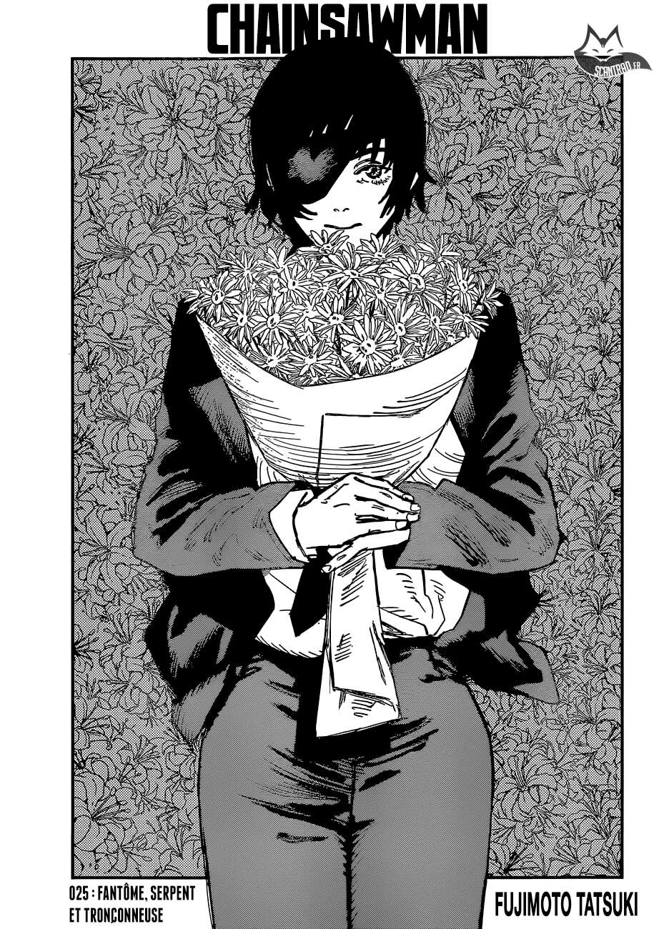 Read Chainsaw Man scan Manga Online