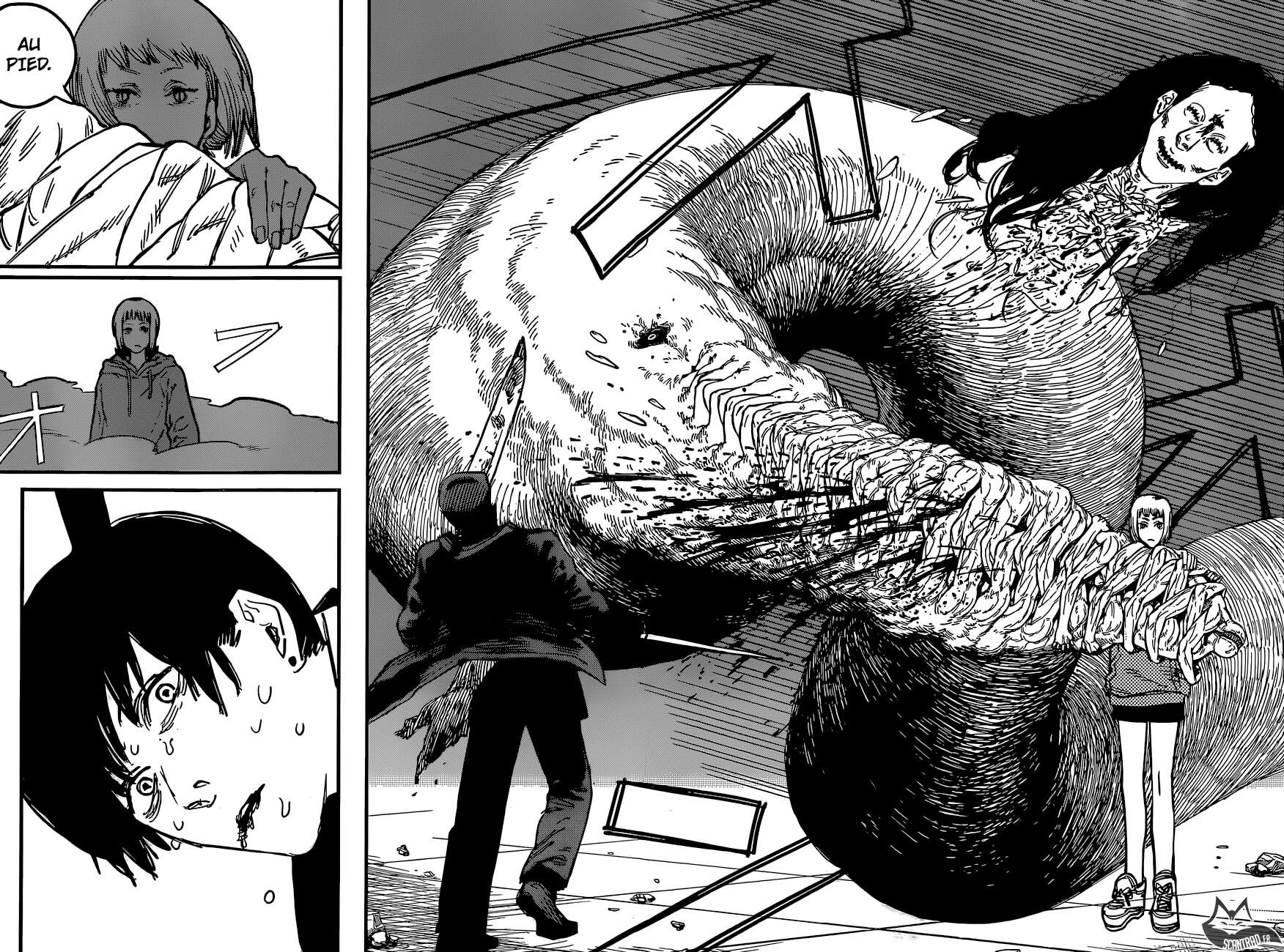 Read Chainsaw Man scan Manga Online
