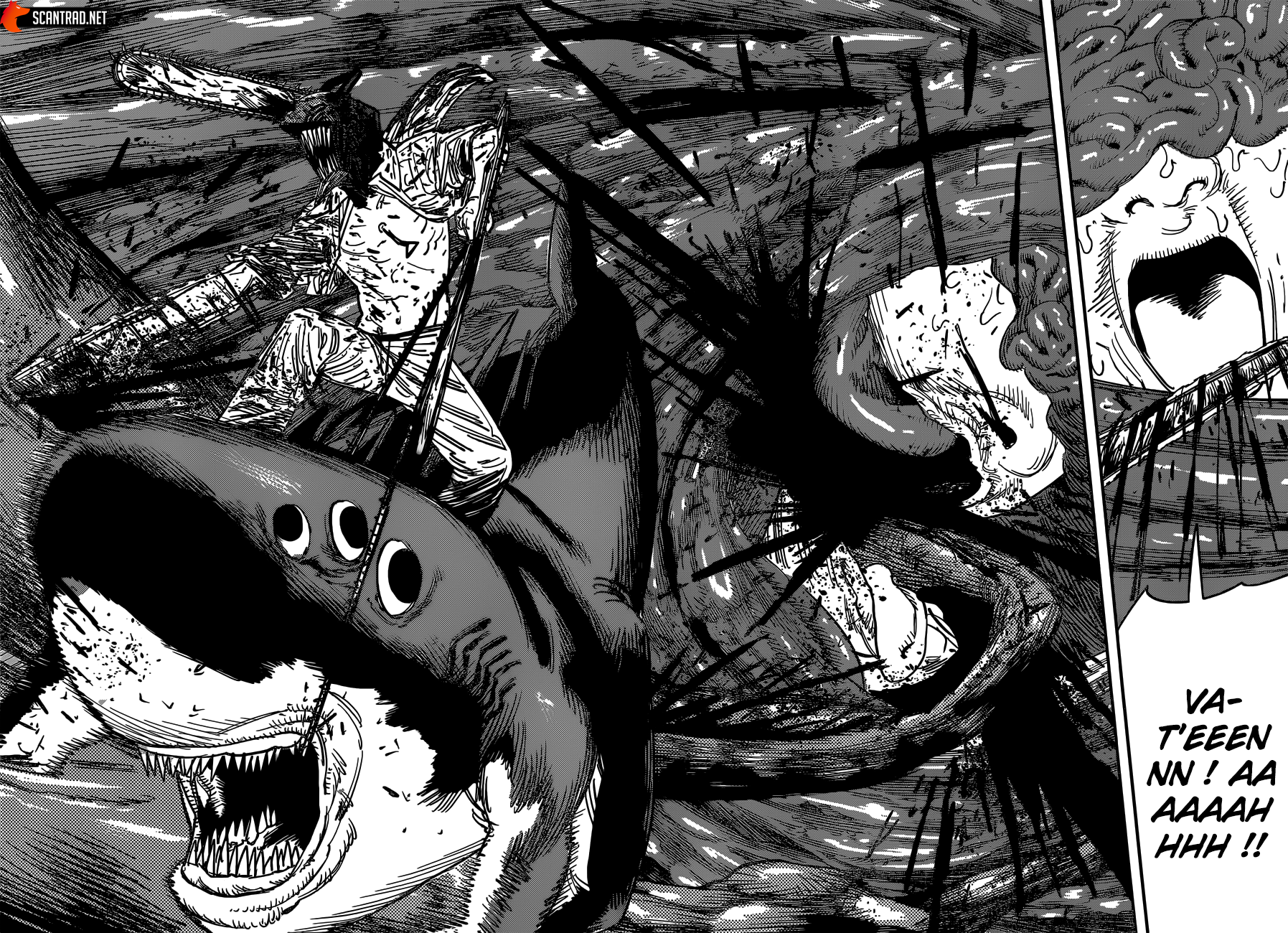 Read Chainsaw Man scan Manga Online
