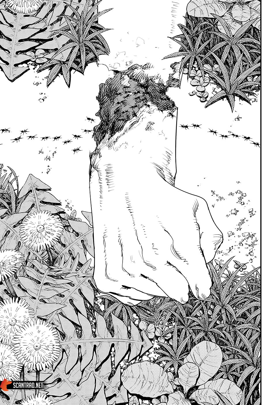 Read Chainsaw Man scan Manga Online