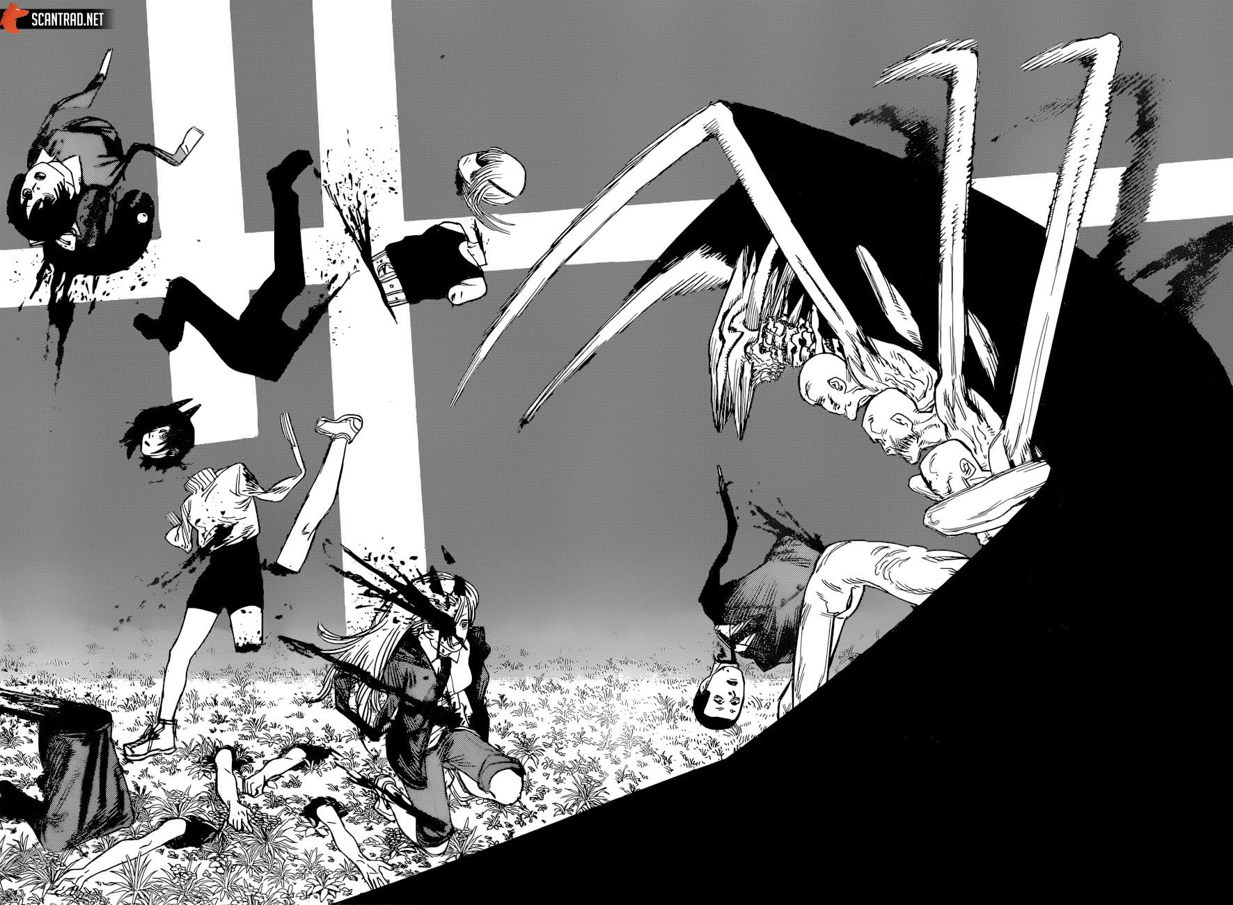 Read Chainsaw Man scan Manga Online