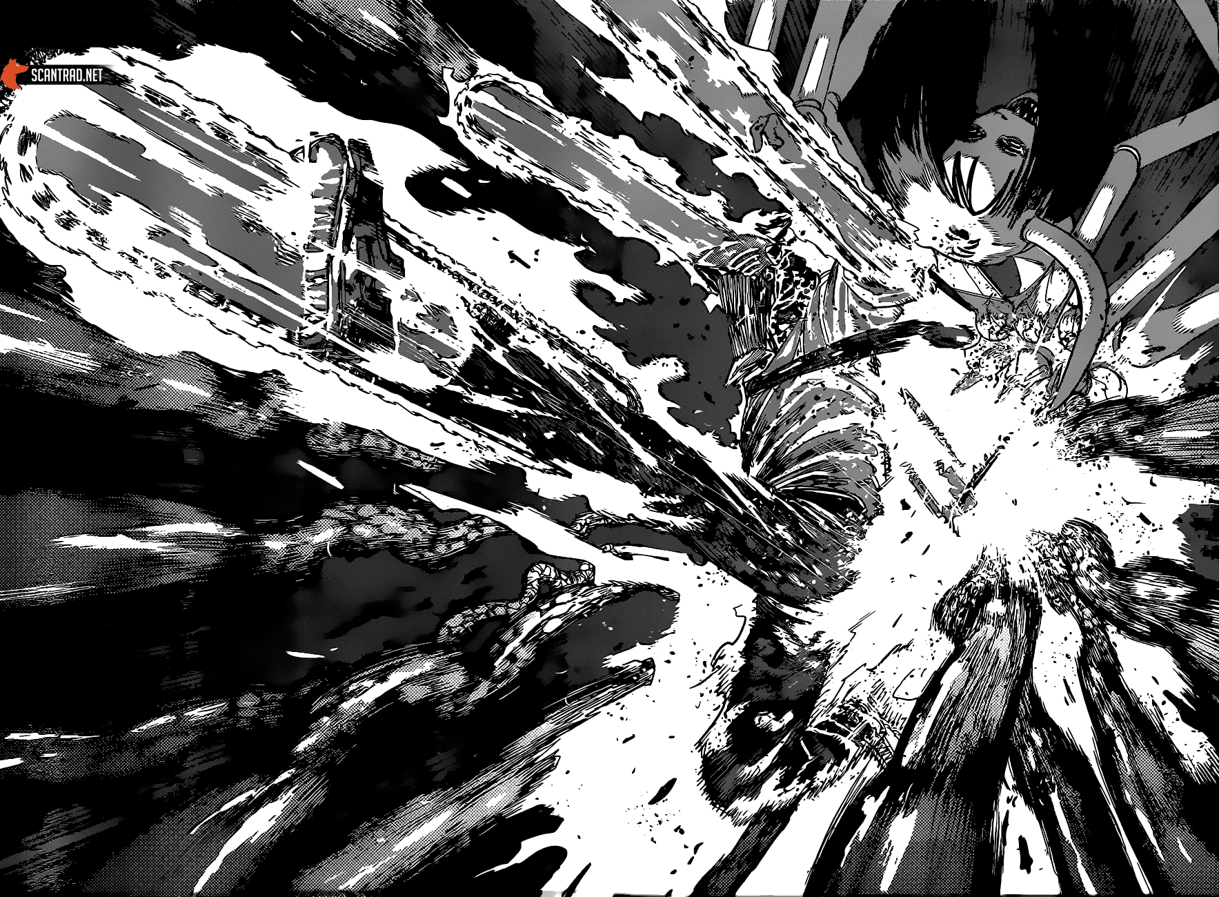 Read Chainsaw Man scan Manga Online