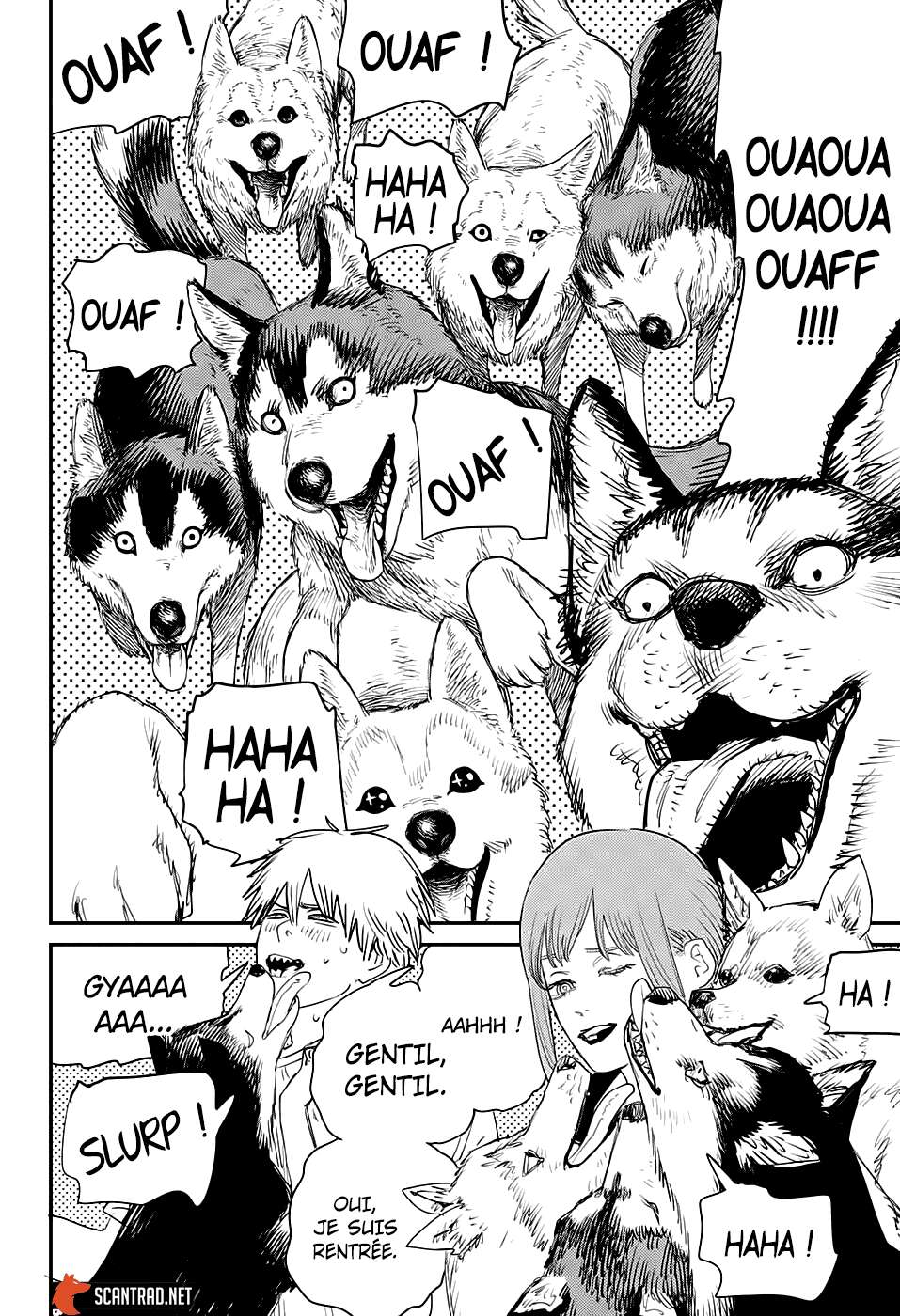 Read Chainsaw Man scan Manga Online