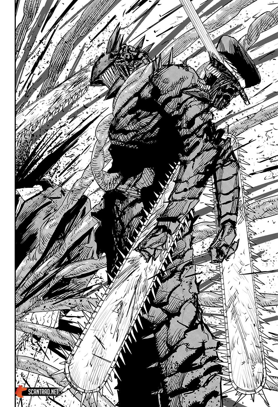 Read Chainsaw Man scan Manga Online