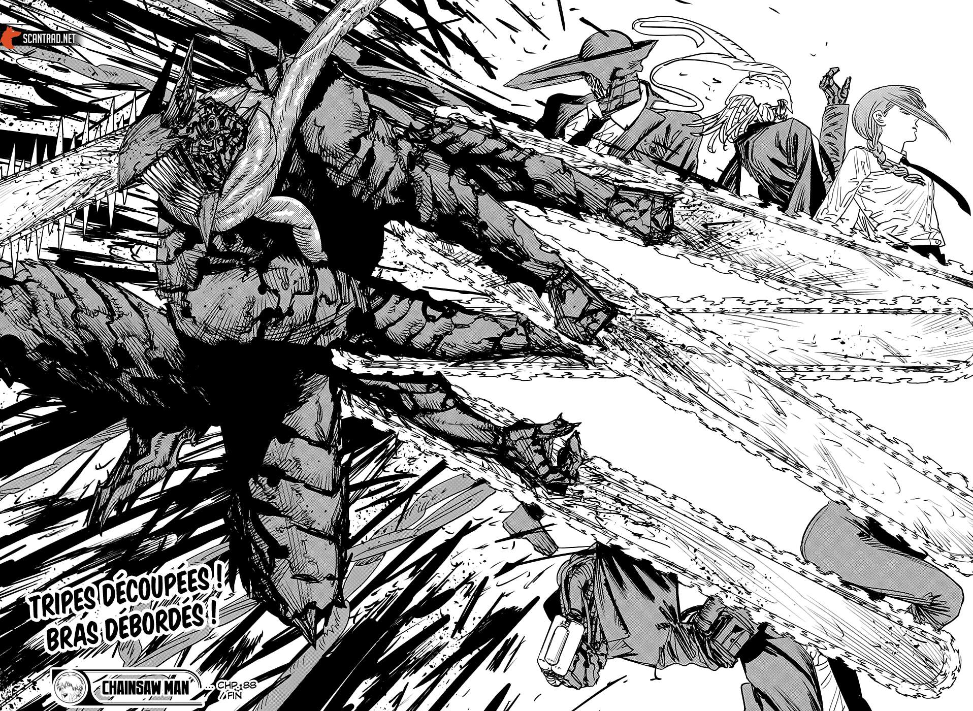 Read Chainsaw Man scan Manga Online