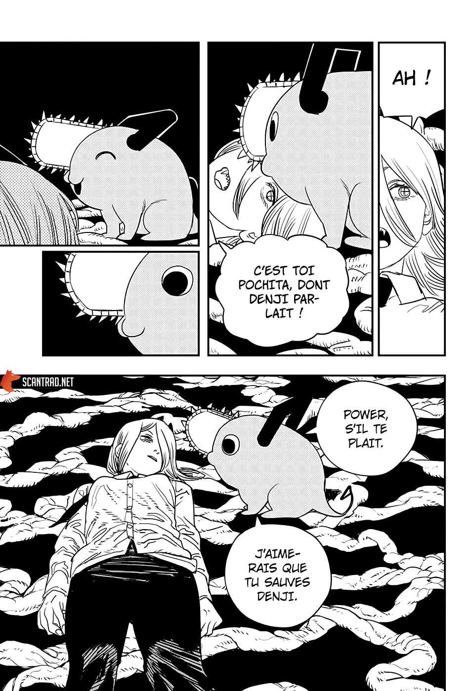 Read Chainsaw Man scan Manga Online