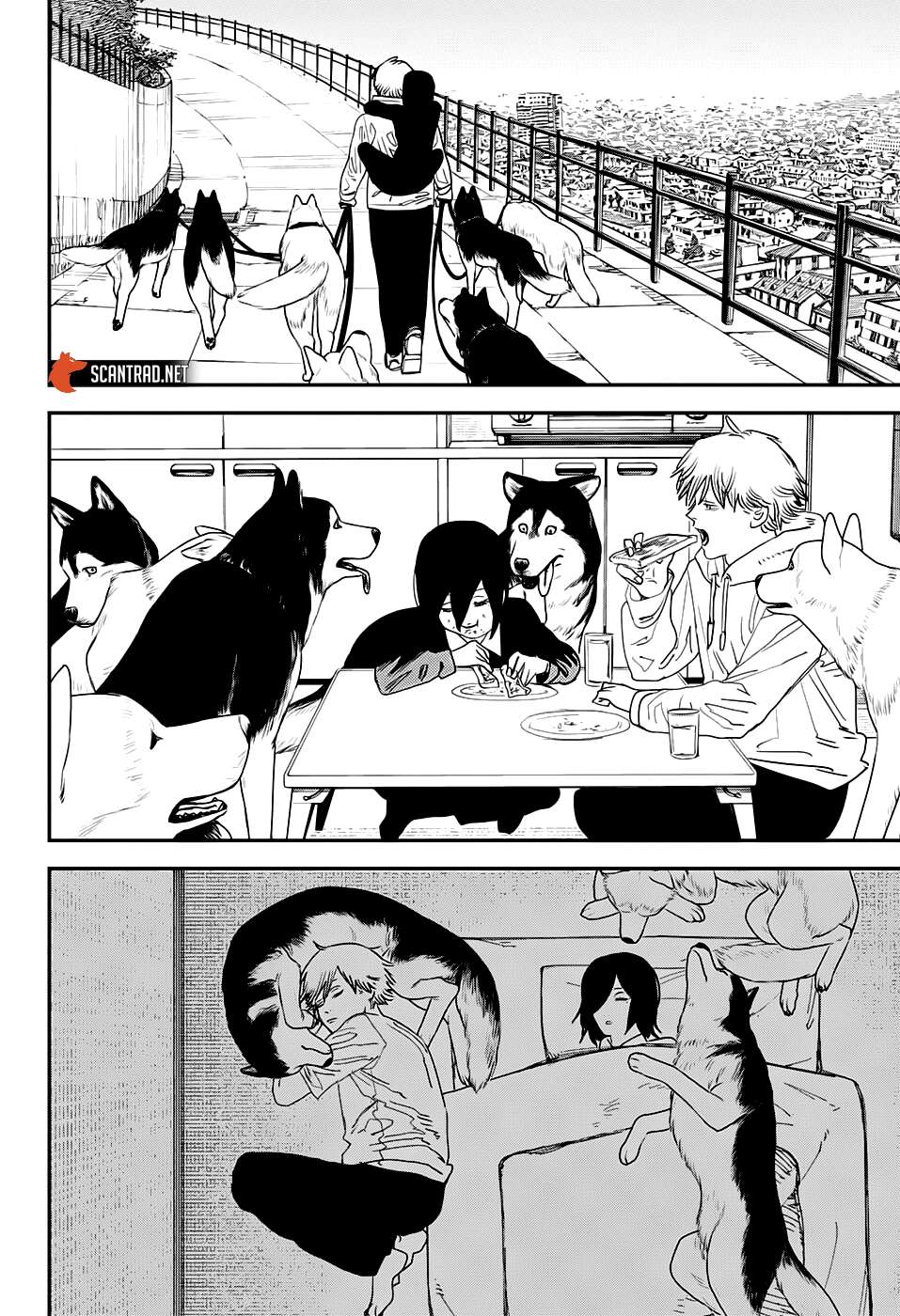 Read Chainsaw Man scan Manga Online
