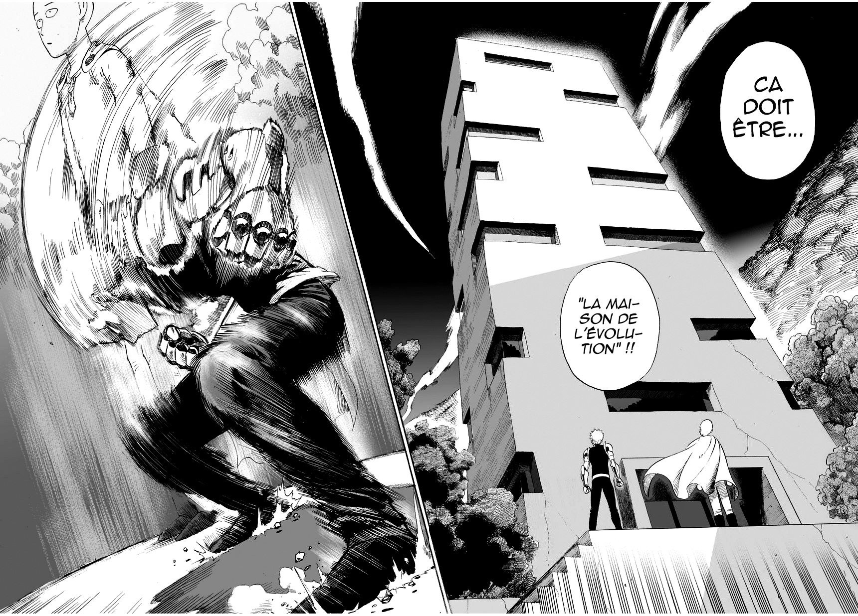 Read One Punch Man scan Manga Online