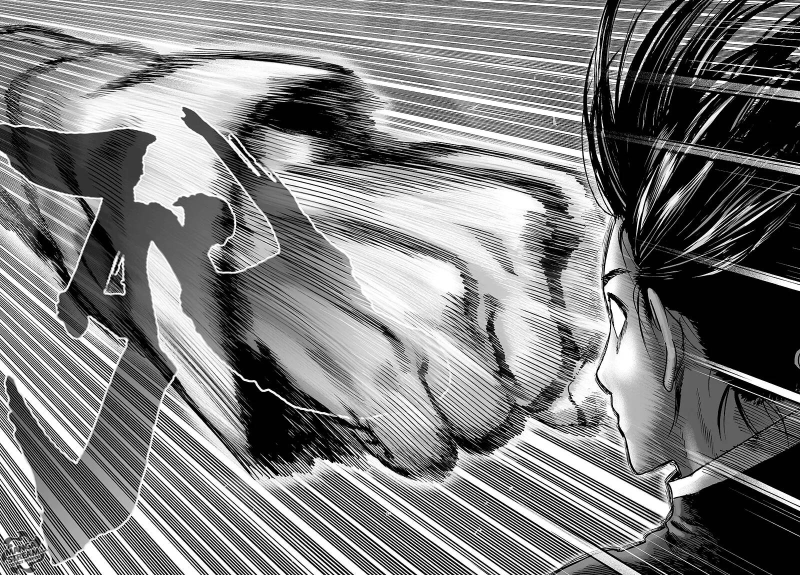 Read One Punch Man scan Manga Online